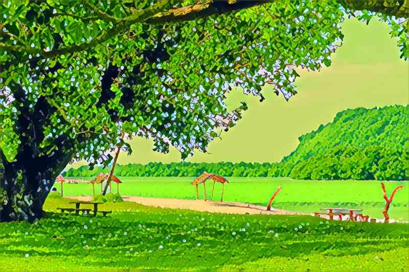 tree 17 800