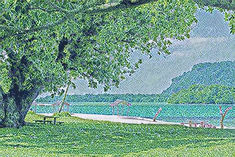 tree 18 800