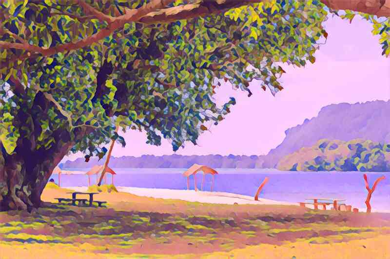 tree 22 800