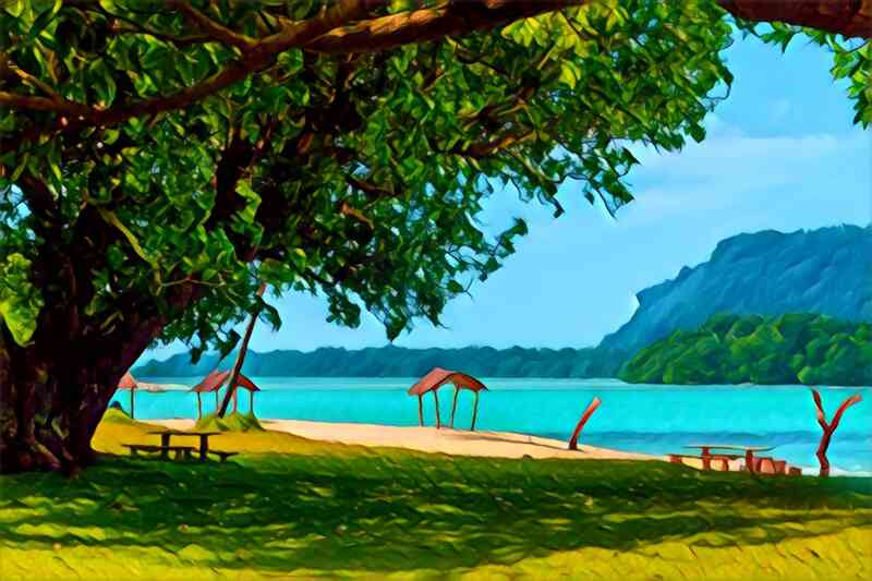 tree 23 800