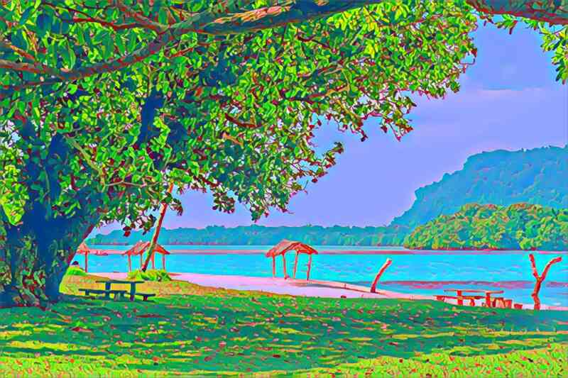 tree 32 800