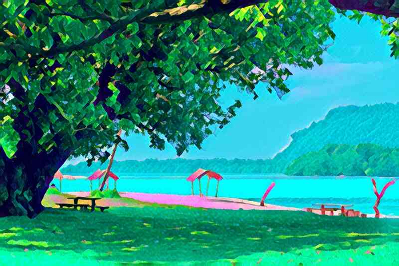 tree 58 800